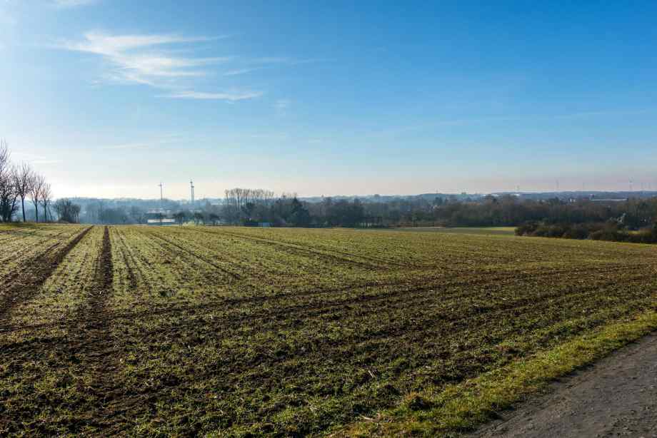 Calcul des frais de notaire sur un terrain constructible : estimation complète-CNSEE Business